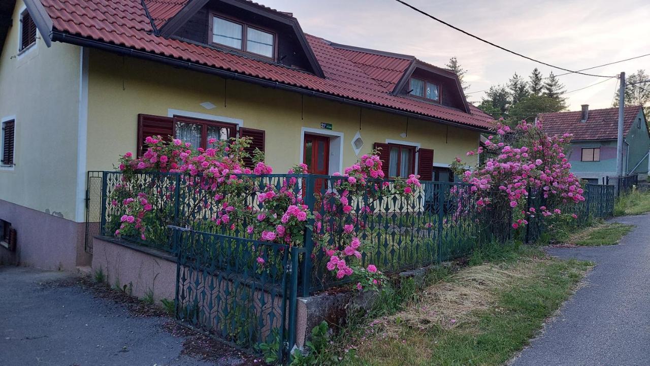 Appartement Kuca Za Odmor ,Erdelj 21 B à Generalski Stol Extérieur photo