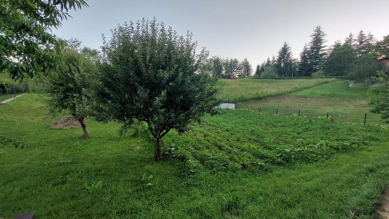 Appartement Kuca Za Odmor ,Erdelj 21 B à Generalski Stol Extérieur photo